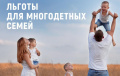 Многодетная семья имеет право...
